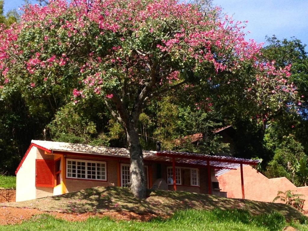 Pousada Chales Da Casa Centenaria Santo Antônio do Pinhal المظهر الخارجي الصورة